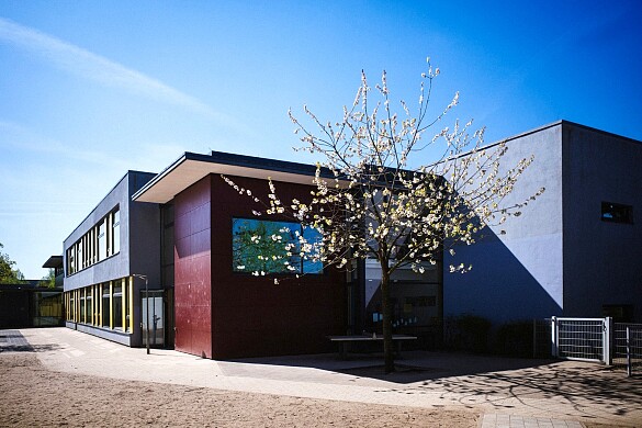 Hintereingang vom Hof - Schulgebäude im Frühling
