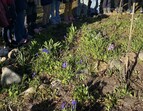Beobachtungen im Schulgarten