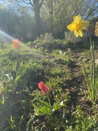 Frühlingsbild