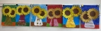 Sonnenblumen der Sternenklasse 2