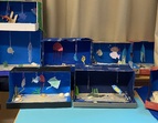 Unterwasserwelt im Schuhkarton 2
