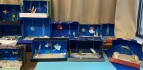 Unterwasserwelt im Schuhkarton 2