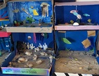 Unterwasserwelt im Schuhkarton 6
