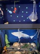 Unterwasserwelt im Schuhkarton 11