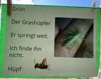 Elfchen 3