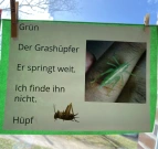 Elfchen 3