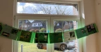 Elfchen 5