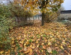 Mit Laub bedeckte Beete