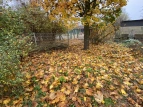 Mit Laub bedeckte Beete