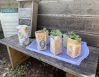 Milchtüten mit Sonnenblumen 1