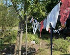Milchtüten im Schulgarten
