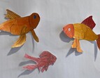 Goldfische sind rot.