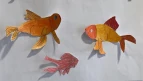 Goldfische sind rot.