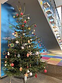 Weihnachtsbaum in unserer Aula