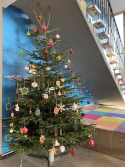 Weihnachtsbaum in unserer Aula